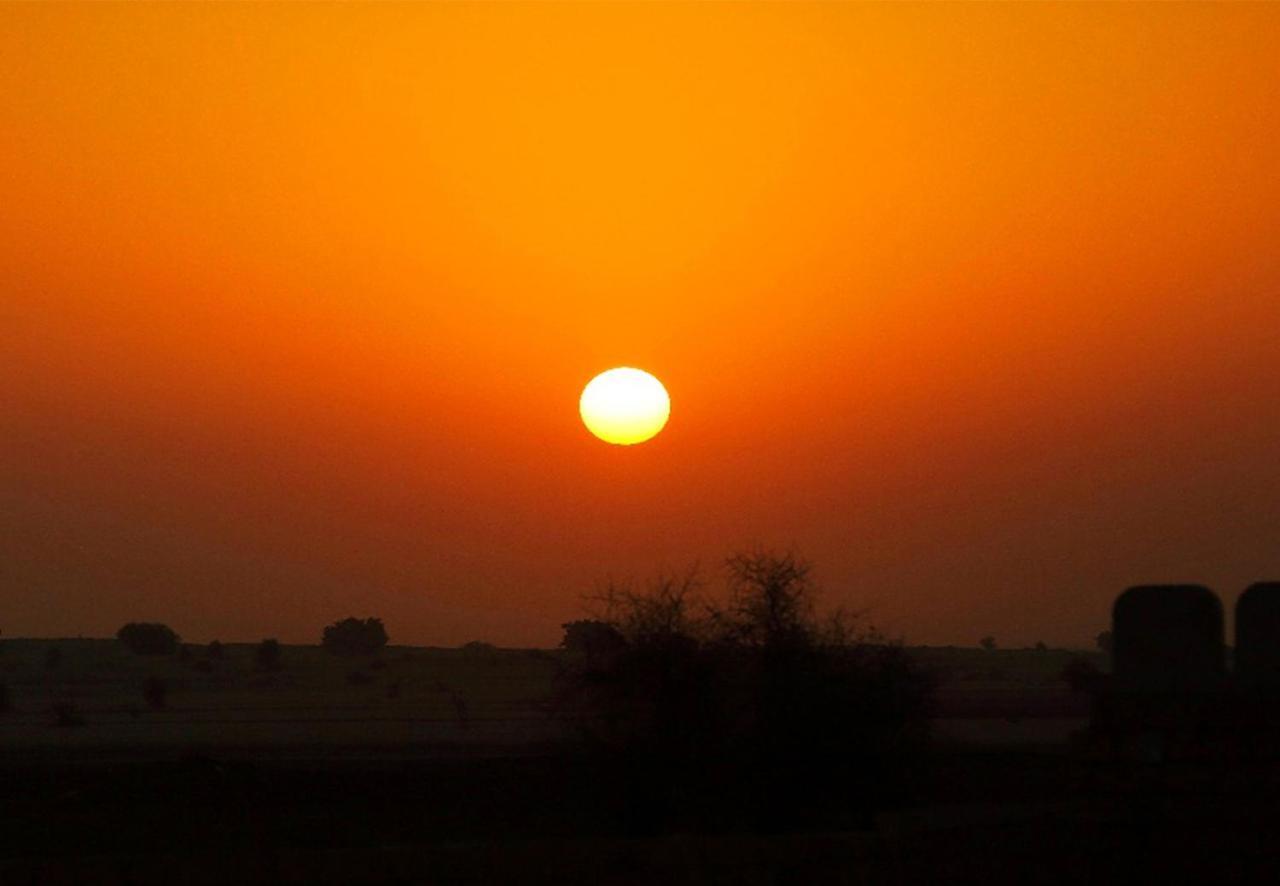 Sunrise Desert Resort With Swimming Pool Jaisalmer Exteriör bild